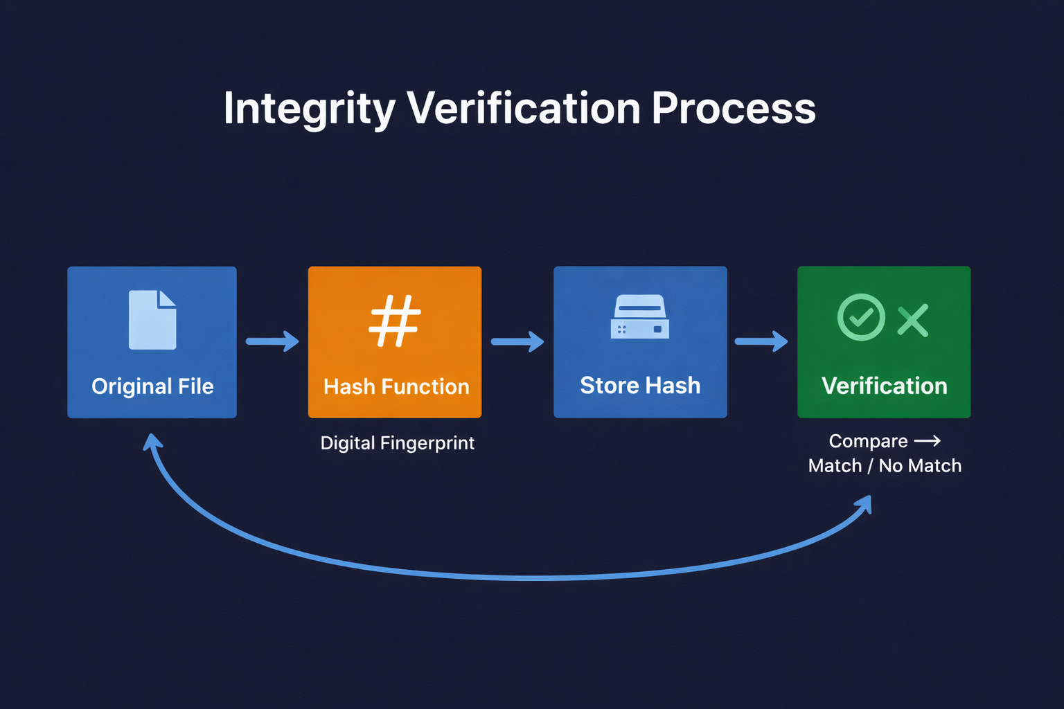 Network Visualization