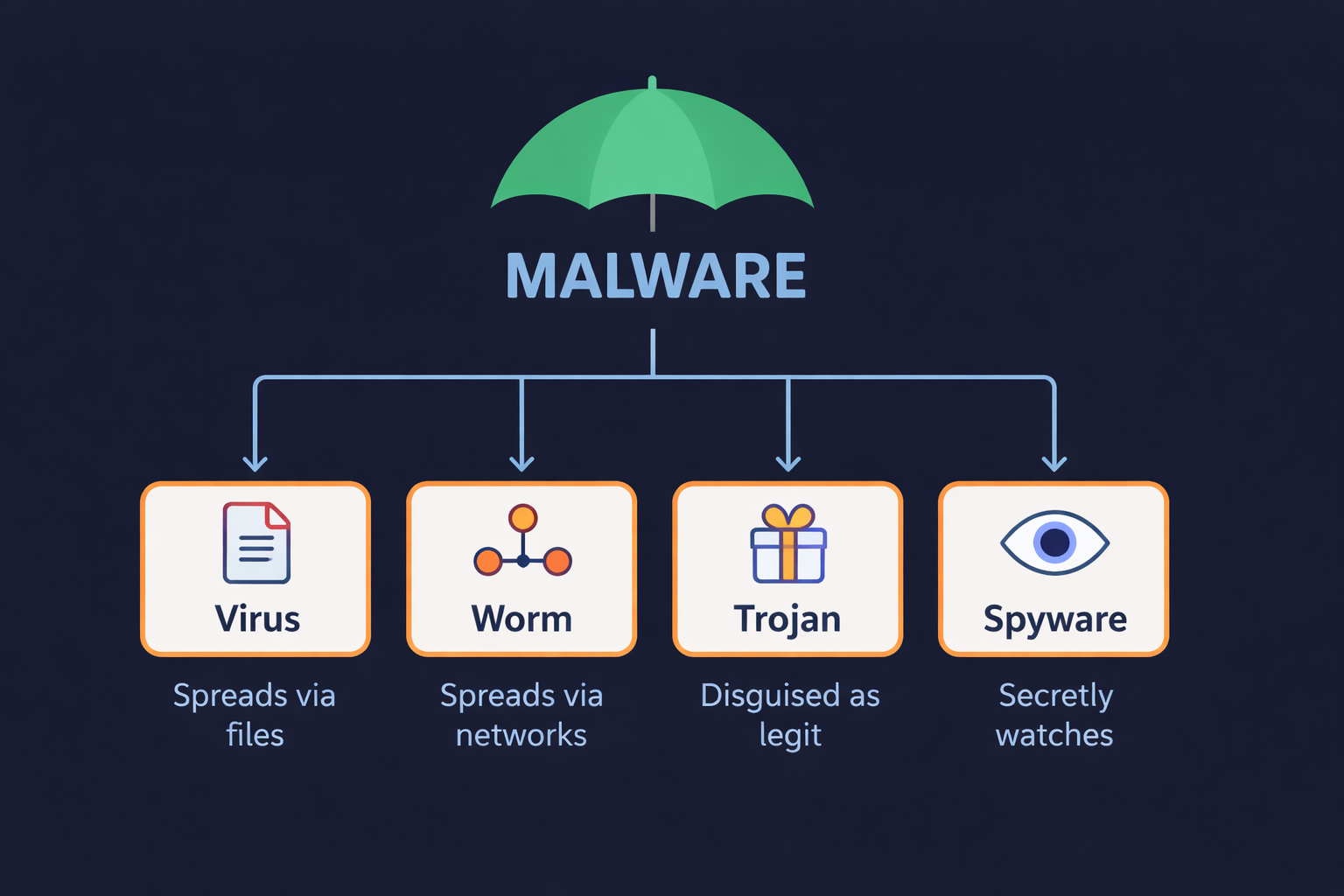 Network Visualization